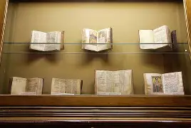 jinnianhui-瀵屽+鏂戒箰m115fs